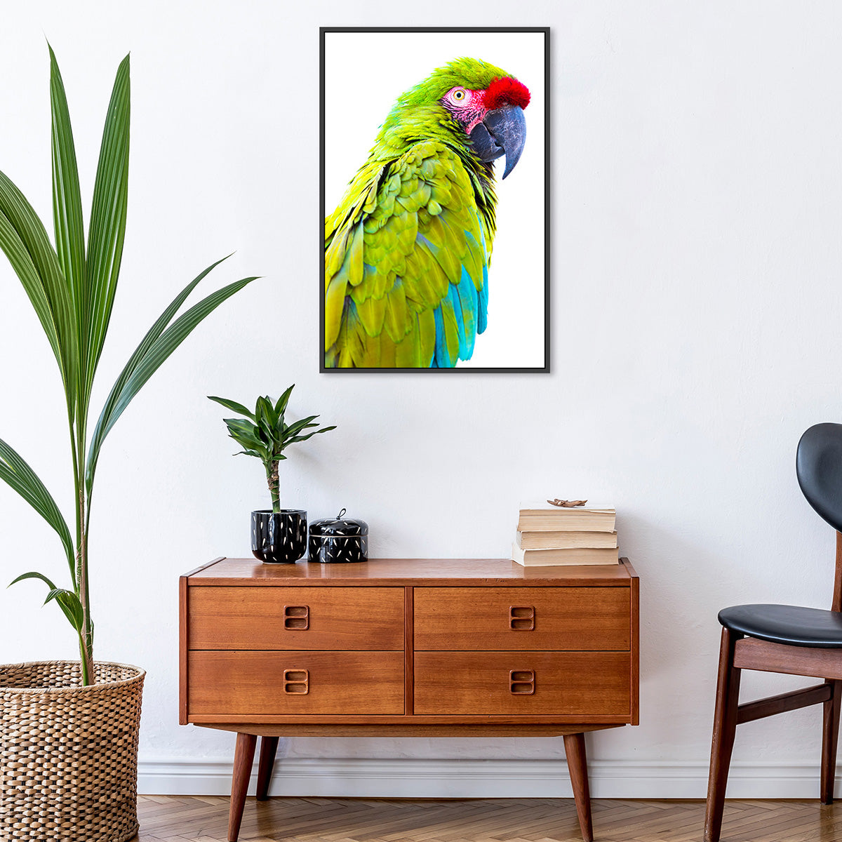 Parrot Exotic Gaze – Zokis Canvas Art